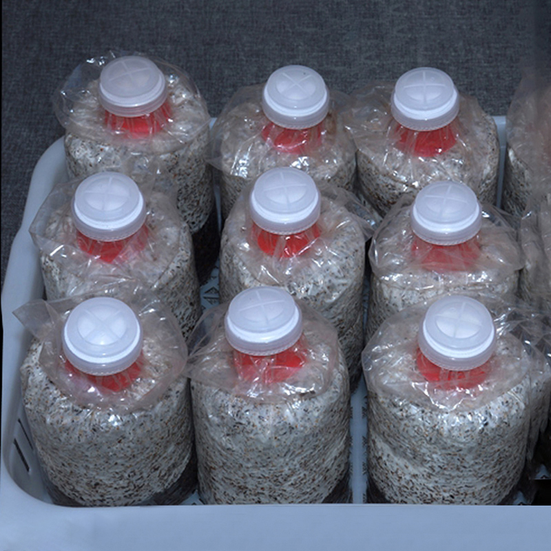 10Pcs Mushroom Grow Bag Sealer - Mushroom Spawn Bag recension och pris