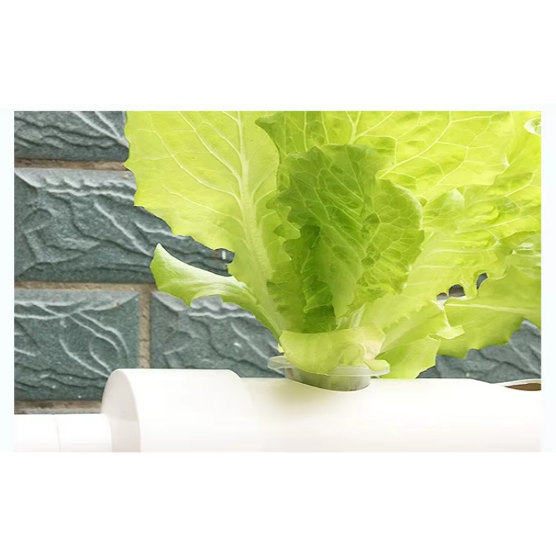 Easy Installation 36 Holes PVC - Hydroponic Nft Channel recension och pris