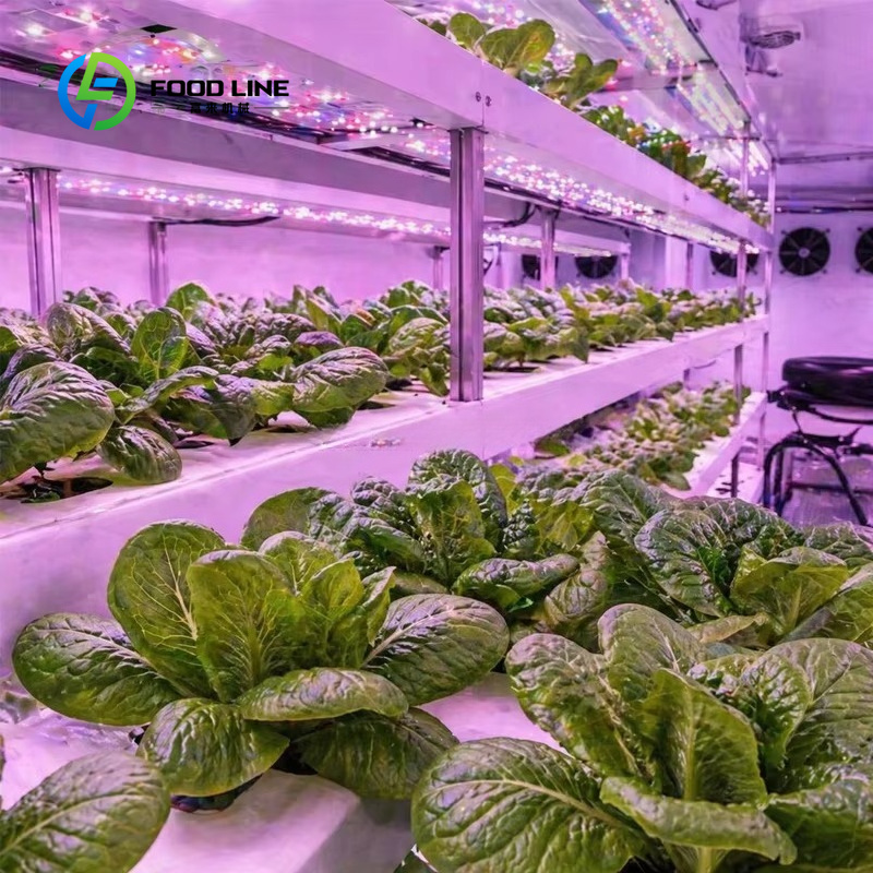 Hydroponic Container Farm for  - Farming Agriculture Project recension och pris