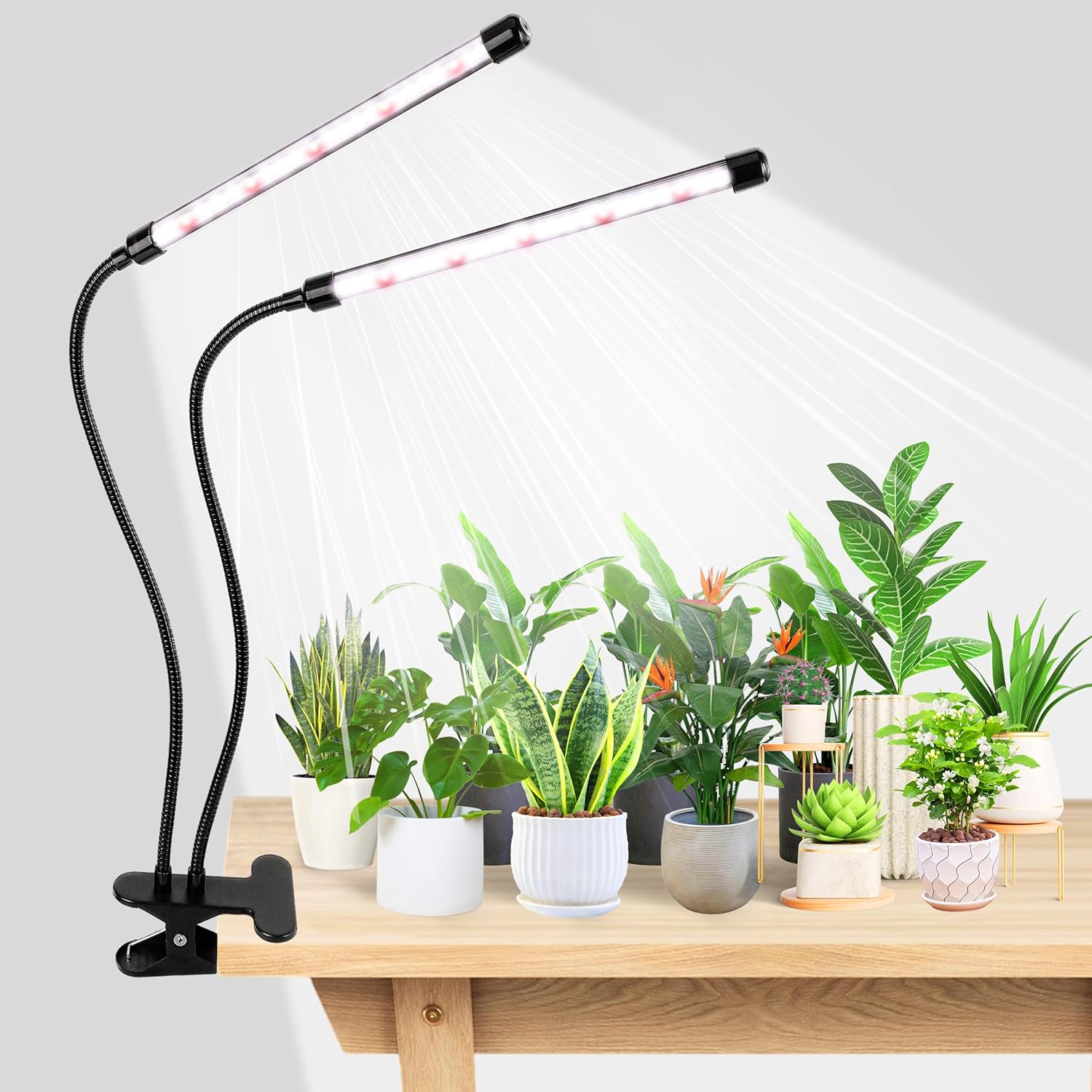 KEBINCPLED USB 5V Clip Plant G - Hydroponic Nft Channel recension och pris