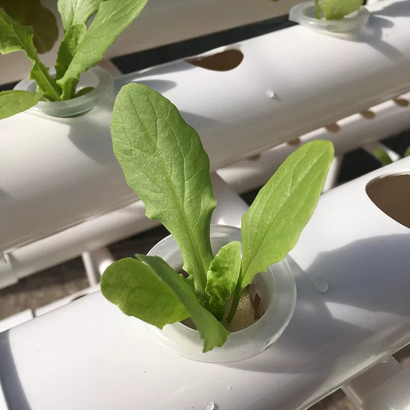 Factory Direct 3-layer Vertica - Hydroponic Nft Channel recension och pris