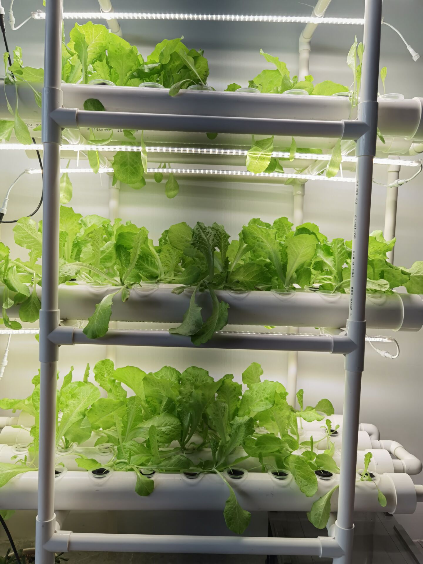 Factory Direct 3-layer Vertica - Hydroponic Nft Channel recension och pris