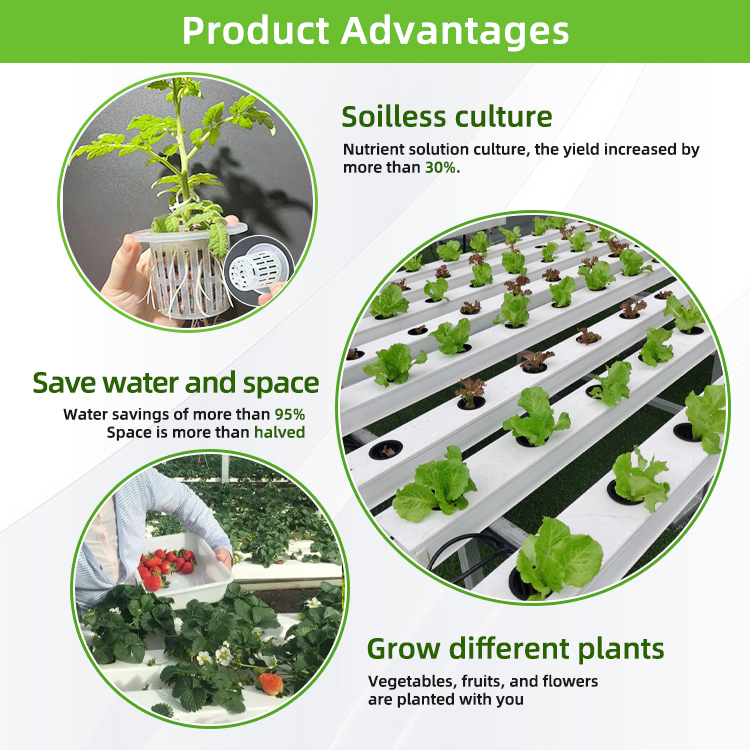 Nft Hydroponics PVC Channel Ir - Hydroponic Nft Channel recension och pris
