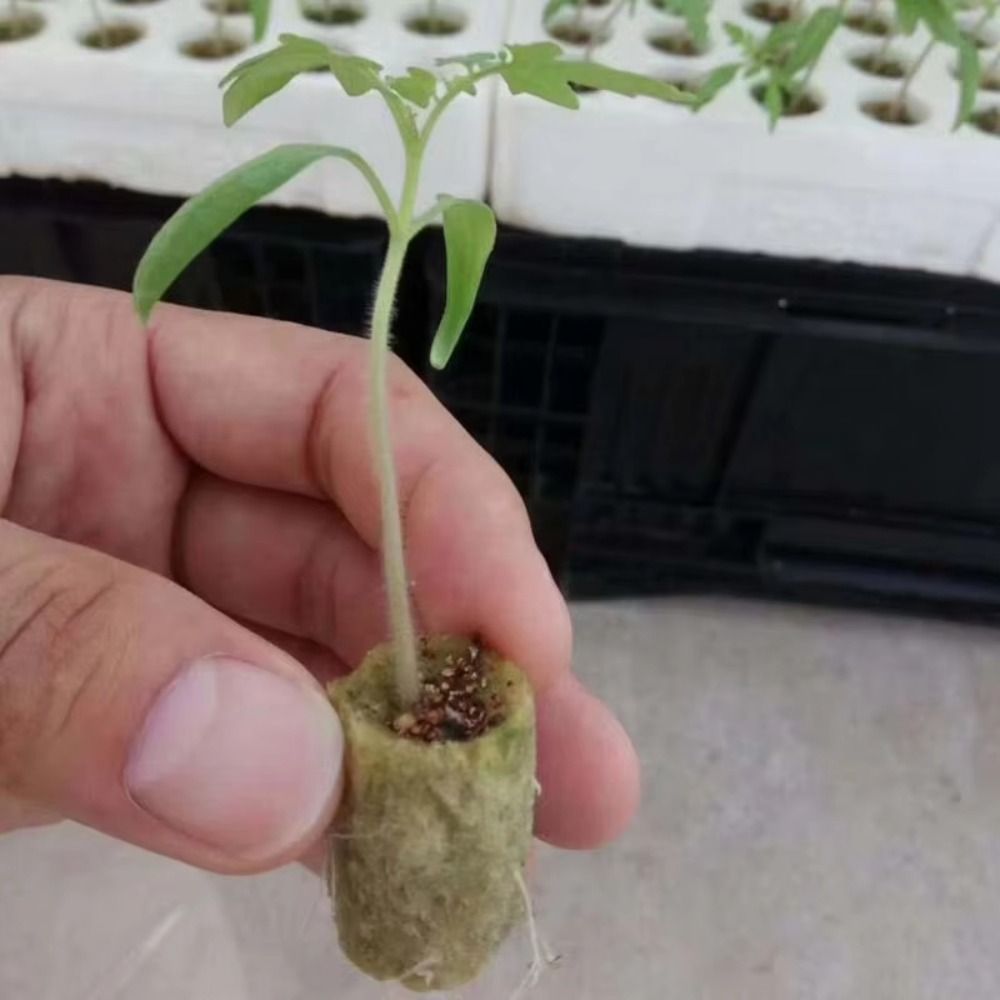 50PCS 27*20mm Size Hydroponic  - Nursery Plug Tray recension och pris