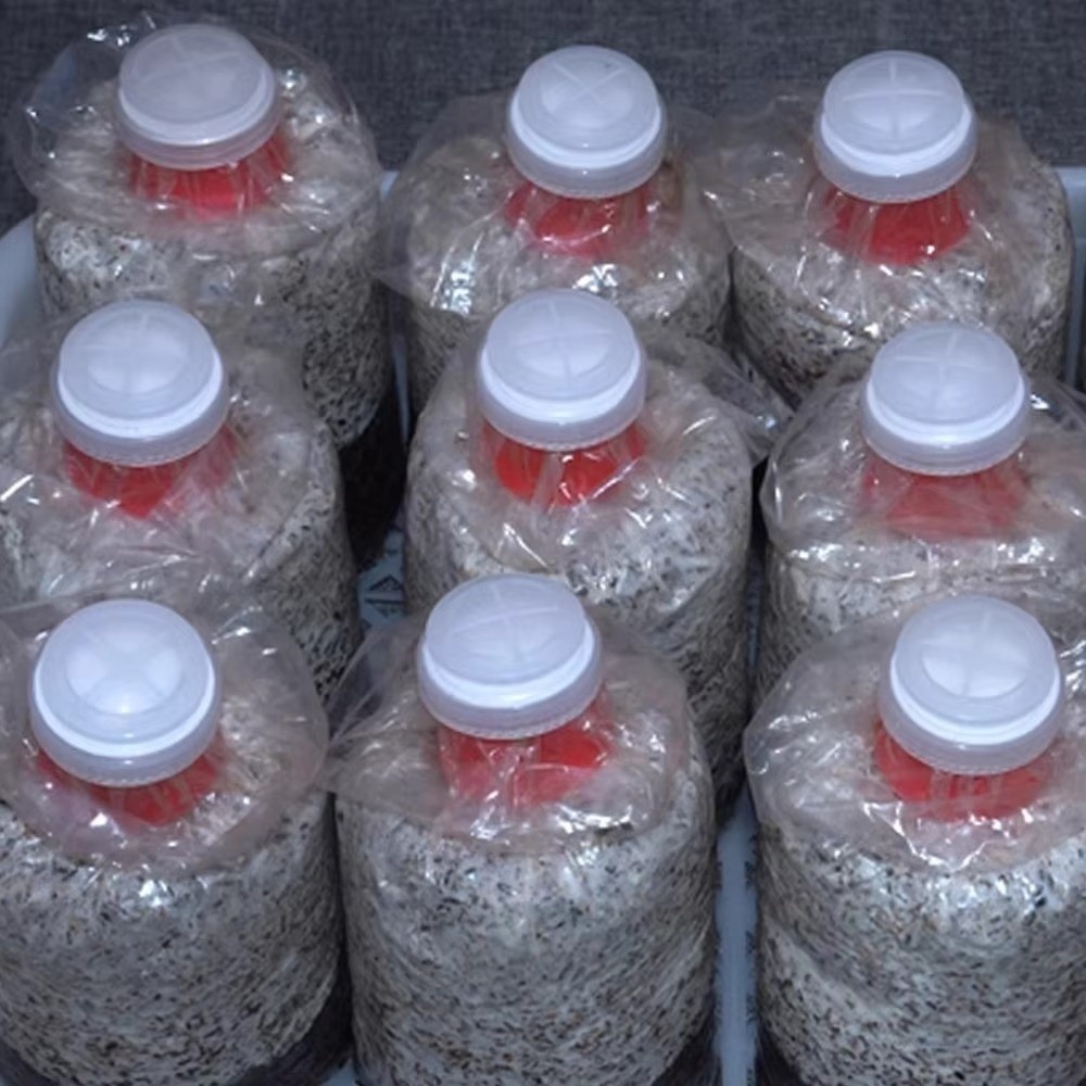 10pcs Waterproof Mushroom Spaw - Mushroom Spawn Bag recension och pris