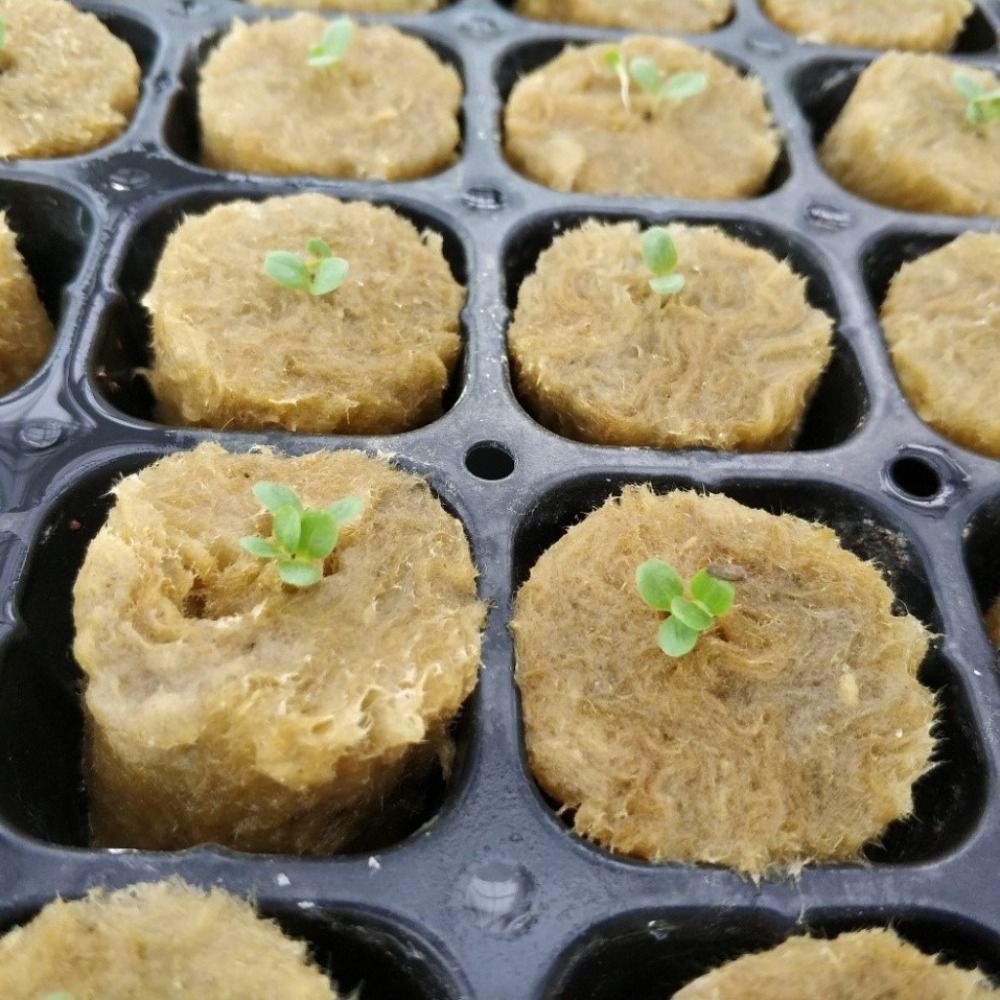 50PCS 27*20mm Size Hydroponic  - Nursery Plug Tray recension och pris