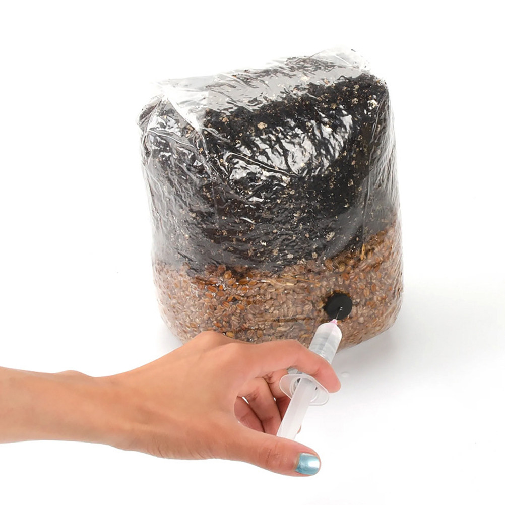 20Pcs Mushroom Growing Bags Cl - Mushroom Spawn Bag recension och pris