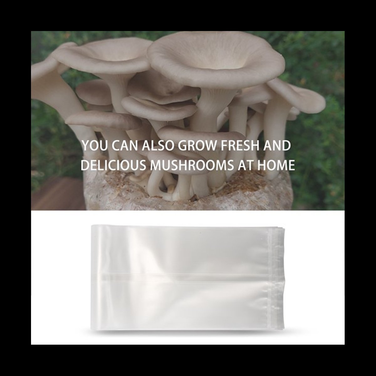 A78I 50 Count Mushroom Bags/Mu - Mushroom Spawn Bag recension och pris